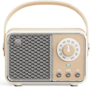 Ecocleanpath Retro Bluetooth Speaker with FM Radio & Handle, Portable Vintage Decor for Home Office Outdoor