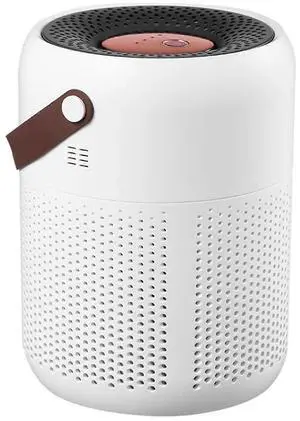 Ecocleanpath White Negative Ion Air Purifier - Fast 5-Min Purification, Quiet for Bedroom & Bathroom