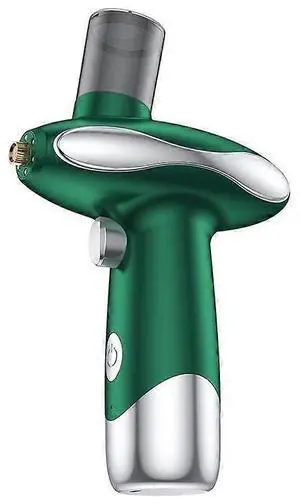 Ecocleanpath Green Nano Facial Spray - Handheld Hydrating Hydrotherapy Mist, USB Rechargeable, Red/Blue Light