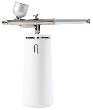 Ecocleanpath Nano Facial Steamer - 0.3mm Micro Mist Skin Moisturizer, 60s Hydration & Portable USB Design - White