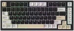 YUNZII YZ75 75% Hot Swappable Wireless Gaming Mechanical Keyboard, RGB Backlights, BT5.0/2.4G/USB-C, Double Shot PBT Keycaps for Linux/Win/Mac(Gateron G Pro Black, Black)