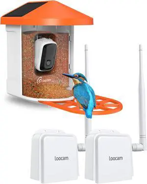 900MHz Outdoor Wireless Bridge Point to Point Plus Smart AI Solar Powered Bird Feeder with Camera