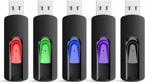 RAOYI 5 Pack 64GB USB 3.0 Flash Drive, High Speed Memory Stick Thumb Drives Jump Drive Pen Drive for PC Laptop Desktop- 64G Multipack