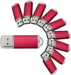 VICFUN 10 Pack 2GB USB Flash Drives 2GB Flash Drive Pack USB 2.0 USB Memory Stick-Red