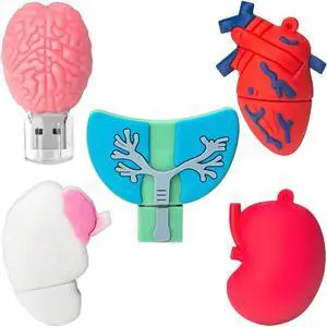 Leizhan 5 x 8GB Novelty USB Flash Drive, Body Organ Shape Thumb Drive USB Memory Stick Jump Drive Pendrive Gift for Kids, Family, Friends