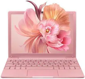 BINTEC 10.1 inch Ultra-Thin Portable Mini Laptop, Celeron N4020 Processor (up to 2.8Ghz), 8GB RAM DDR4,Weight only About 0.8Kg,Built-in Webcam, WiFi, Easy to Carry (Rose Gold, 8G+128GB SSD)