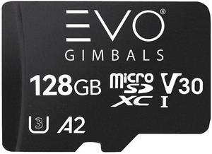 EVO Gimbals MicroSDXC UHS-I Memory Card Up to 190MB/s, U3, V30, A2, Micro SD Card compatibable with insta360 X4/X3/GO 3/ACE/ACE PRO, ONE X2/ONE R/RS, Go Pro 12/11/10/9, DJI Action 4/3/2 (256GB)