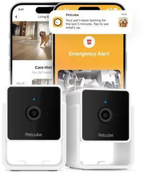 Petcube Cam The Pack of 2 | Indoor Wi-Fi Pet Security Camera with Phone App, 2-Way Audio and Video, Night Vision, 1080p HD Video and Smart Alerts