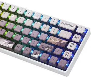 Ussixchare Pudding Keycaps ASA Profile 60% PBT Key Cap Set for Mx Switch for 60% 65% TKL KeyboardsRemote Forest