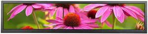 VSDISPLAY 24 Inch 1920x360 IPS Stretched Wide Bar Display for Gaming Marquee Monitor Cabinet,Supermarket Shelf Advertising Monitor with USB Video Interface