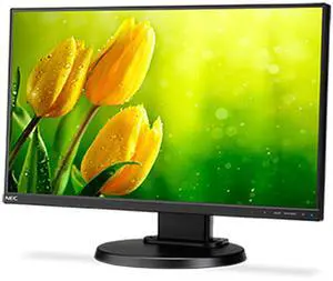 NEC Display MultiSync E221N-BK 22" LED LCD Monitor - 16:9-6 ms, Black