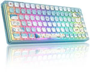 Blue Light Up Transparent Mechanical Keyboard,Light84 RGB Backlight Gaming Wired Keyboards with Crystal Switch and Sublimation PBT Capkeys,70% Percent E-Sports for Windows PC MAC (California Holiday)