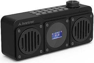 Avantree Boombyte - Portable FM Radio with Bluetooth Speaker, Dual Drivers (14W), High Volume Stereo Sound, Micro SD Card Slot, and USB Port Audio Input, 17 Hours Rechargeable MP3 Player