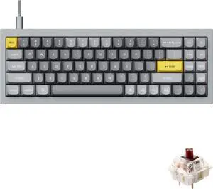 Keychron Q7 70% Layout Hot-Swappable RGB Wired Custom Mechanical Keyboard Compatible with Mac Windows Linux, QMK/VIA Programmable Macro Gateron G Pro Brown Switch Double Gasket Kit Full Aluminum-Grey