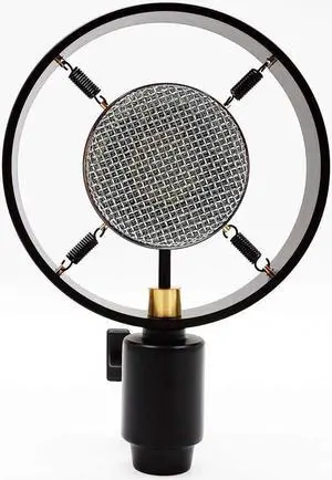 Antique Vintage Classic Cinema Theater Auditorium Speech Live Vocal 25mm Big Diaphragm Condenser Microphone