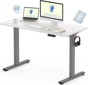 FLEXISPOT EN1 Whole-Piece Standing Desk 48 x 30 Inches Electric Height Adjustable Desks for Home Office Stand Up Desk (Silver Frame + 48 in White Top, 2 Packages)