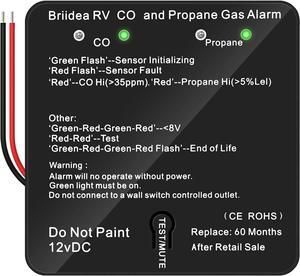 RV Carbon Monoxide & Propane Gas Alarm, Briidea Dual LP/CO Alarm, Separate LED Indicators, 100dB Loud, Early Warning Safety System, 12 VDC, Black