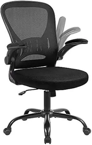 Youhauchair Mesh Office Chair, Ergonomic Computer Chair with Flip-up Arms and Lumbar Support, Height Adjustable Home Office Desk Chairs, Black, Welcome to consult
