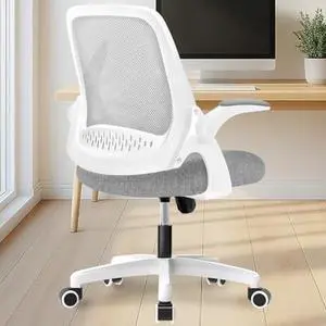 NEO CHAIR Office Desk Computer Gaming Ergonomic Chair with Lumbar Back Support Adjustable Height Swivel Wheels Flip-up Arms Mesh Chair for Home or Office (Grey)