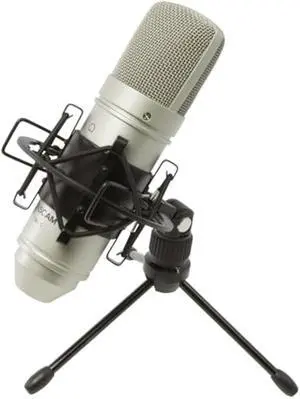 Tascam TM-80 Large Diaphagm Condenser Microphone,Silver