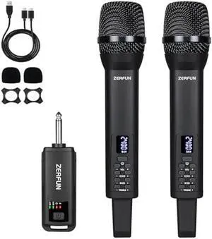 Dual Rechargeable Wireless Microphones, Pro Handheld Cordless Mics System with Echo Treble BASS VOL Control for Karaoke Singing Church Party, 1/4'' Output, Black