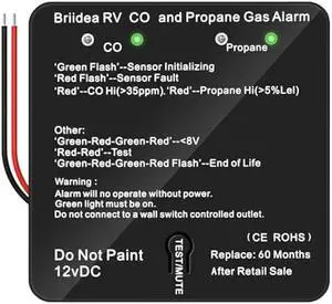 RV Carbon Monoxide & Propane Gas Alarm, Briidea Dual LP/CO Alarm, Separate LED Indicators, 100dB Loud, Early Warning Safety System, 12 VDC, Black