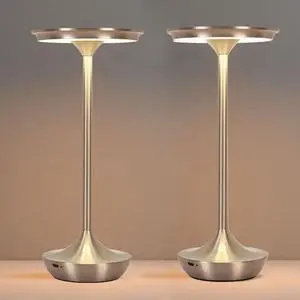 Cordless Table Lamp Set of 2,Portable Rechargeable 6000mAh Outdoor LED Table Lamps,3 Color Stepless Dimming Touch Battery Powered Lamp, Table Light For Restaurant/Patio/Camping/Bedroom(Silver)