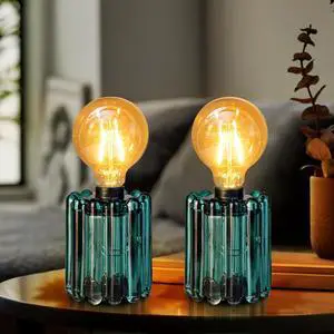Set of 2 Battery Operated Table Lamp, Battery Powered Cordless Lamp with Timer, Glass Bulb Shape Decorative Lights for Living Room Bedroom Weddings Parties Patio Events Indoors OutdoorsLoden Frost