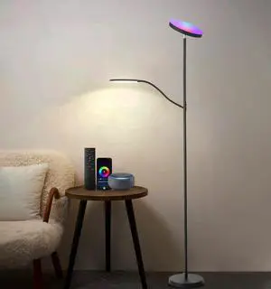 Floor Lamp , Dimmable RGB Floor Lamp,24W/2000LM Main Light and 10W/350LM Side Reading Lamp, Adjustable 3 Colors 2700K/4000K/6500K Tall Lamp with Remote & Touch &APP Control for Living Room Bedroom