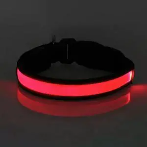 Solar & USB Rechargeable LED Lighting Dog Collar for Outdoor Safety Medium Red