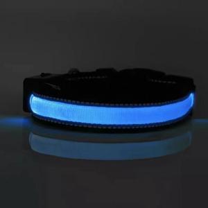 Solar & USB Rechargeable LED Lighting Dog Collar for Outdoor Safety Medium Blue