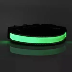 Solar & USB Rechargeable LED Lighting Dog Collar for Outdoor Safety Large Green