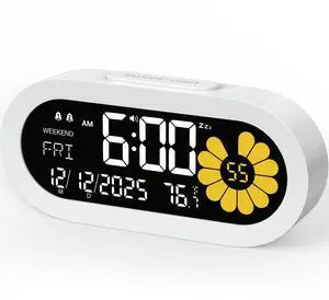 DOOMAY Digital Alarm Clock for Bedroom: Dual Alarm Bedside Clock VA LCD Display with Seconds, 9-Minute Snooze and Weekend Mode, 3 Brightness, 4 Alarms and 3 Volume LevelsType C & Battery Included