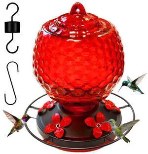 Glass Hummingbirds Feeder for Outdoors Hanging,25 OZ Humming Birds Feeder for Outside,Hummingbird Gifts,Gardening Gifts for Women
