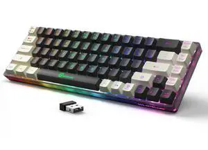 GEODMAER 65% Wireless Gaming Keyboard: LED Backlit, 68 Keys, Ultra-Compact, Anti-ghosting, No-Conflict Wireless Keyboard for PC Laptop Windows Gamer(Black-White)