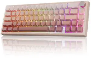 RisoPhy 60% Wireless Mechanical Keyboard, 2.4G/USB-C/Bluetooth Gaming Keyboard with LED Backlight/Gasket Mount/Red Switches/Metal Knob/Software
