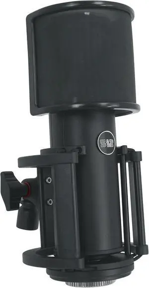 by Warm Audio Skylight Large Diaphragm Studio Condenser XLR Microphone + Shock Mount + Bag for Recording and Podcasting