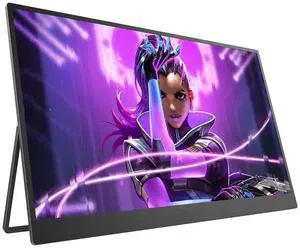 Newsoul 17.3" 4K UHD Computer Gaming Monitor  100% AdobeRGB, 500 Nits HDR, FreeSync, IPS Panel, HDMI/Dual Type-C, VESA Mountable for Designers, PC, Mac