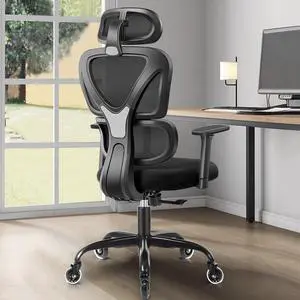 Primy Ergonomic Office Chair, Ergo 3D Computer Chair Breathable Mesh Desk Chair with Lumbar Support, High Back Gaming Chair with Adjustable Headrest and Armrests for Conference Room (Black/Firewheel)