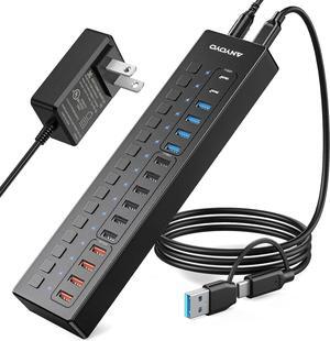 Powered 16-Port USB Hub with 4ft 2-in-1 Cable, 60W USB Hub (10 USB-A+2 USB-C 3.0+4 Smart Charging Ports), Wall Mounting USB Port Extender, Individual LED Switches, USB Charging Hub for USB Devices