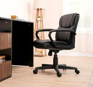 Basics Padded Office Desk Chair with Armrests, Adjustable Height/Tilt, 360-Degree Swivel, 275 Pound Capacity, 24 x 24.2 x 34.8 Inches, Black