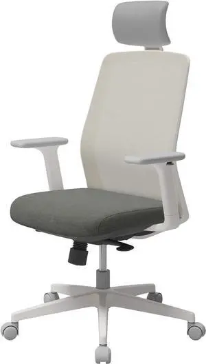 SIDIZ T40 SE Ergonomic Office Chair : Home Office Chair for Light Users with Reclining Tilt Lock, Headrest, 3D Armrests, Mesh Back Computer Desk Chair, Alternative Gaming Chair (Light Gray)