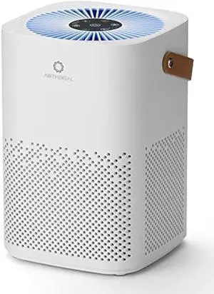 Airthereal ADH70 HEPA Filter Air Purifier for Desktop, Bedroom and Car with Sleep Mode, Removes Allergies, Dust, Pollen, Smoke and Odor, Type-C USB power cable, Day Dawning, White