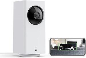 WYZE Cam Pan v2 Pet Camera with Phone App 360° PTZ Indoor Home Security Camera for Dogs Cats Elderly Monitoring, Works with Alexa