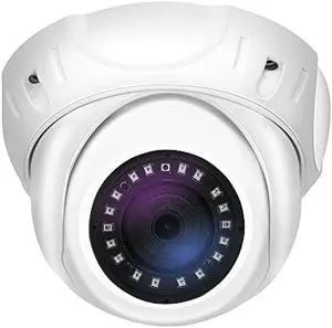 GW Security 5MP IP PoE Outdoor Indoor Microphone Dome Security Camera (GW5091IP)