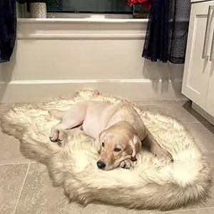 Luxury Faux Fur Orthopedic Dog Bed, Memory Foam Dog Bed for Small, Medium, Large and XL Pets, Fluffy Pup Rug with Waterproof and Washable Soft Cover, Bone White (Medium)