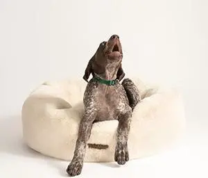 UnHide Floof Pet Bed - Medium (28 x 10) - Extra Soft Dog Bed - Removable Faux Fur Cover - Machine Washable - Helps Ease Pet Anxiety & Provides The Perfect Sleep - Beige Bear