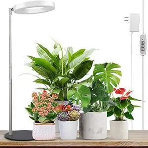 LORDEM Grow Light, LED Plant Light for Indoor Plants Growing, Full Spectrum Desk Growth Lamp with Automatic Timer for 4H/8H/12H, 4 Dimmable Levels, Height Adjustable 9.8-30.6