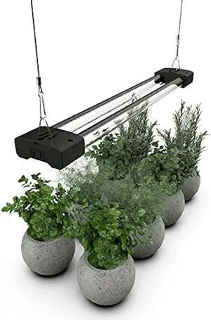 DYMOND BoostGro LED Grow Light Full Spectrum Linkable 5000K Daylight + 660nm Red Indoor Plant Lighting Fixture (2 FT, Black)