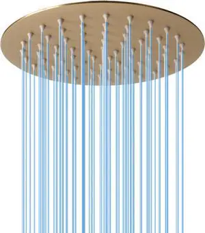 8 Inch Rain Shower Head, BSTIIU High Flow Stainless Steel Round Rainfall ShowerHead, High Pressure Overhead Shower Heads, Wall & Ceiling Mount Ultra Thin Stainless Steel Shower Head, Brushed Gold